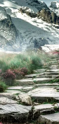 This live wallpaper features a stone path that winds through a mountainous landscape, with mountains in the background