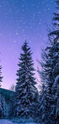 This live wallpaper brings a serene winter scene to your phone, featuring a snowy road winding through a forest of tall trees, and a sky full of twinkling stars against a deep purple background