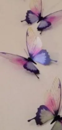 This phone live wallpaper features a charming group of butterflies sitting on a table in vibrant shades of purple and pink