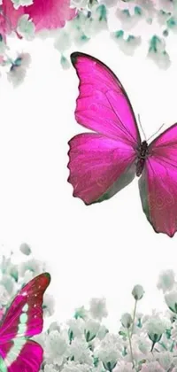 This beautiful live phone wallpaper showcases a pink butterfly gracefully flying over a bed of white flowers, perfectly complemented by a plain white background