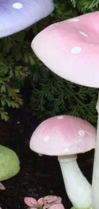 If you're looking for a nature-inspired phone live wallpaper, then this colorful mushroom design by Mandy Jurgens is perfect for you