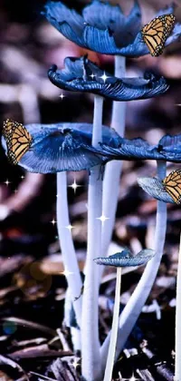 This stunning phone live wallpaper showcases a group of blue mushrooms adorned with colorful butterflies, set against a backdrop of towering mushroom trees