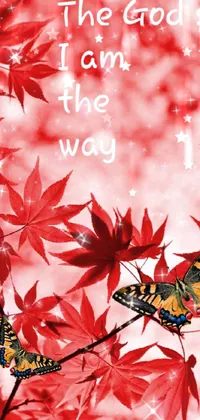 Nature Plant Red Live Wallpaper