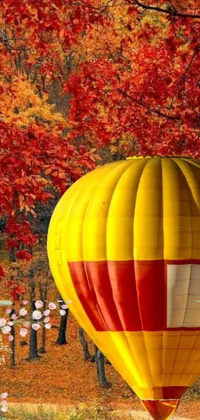 This live wallpaper showcases a vibrant yellow and red hot air balloon soaring through a picturesque forest with maple trees displaying striking fall foliage