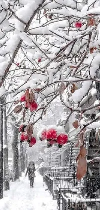 This live phone wallpaper showcases a serene winter scene with a snow-covered sidewalk, trees with red berries and icicles, and beautiful flowers
