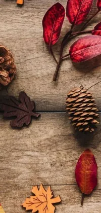 This live wallpaper showcases a wooden table portrait, decorated with a diverse selection of lush leaves and a pine cone, representing the changing seasons from spring to winter