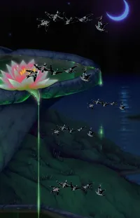 Nature Plant Sacred Lotus Live Wallpaper