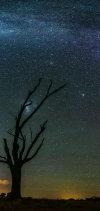 This clickable wallpaper for your phone showcases beautiful scenery of a solitary tree set against the otherworldly backdrop of the Milky Way galaxy