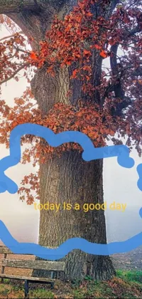 Enjoy the tranquility of a foggy day with this live wallpaper, depicting a bench under a tree surrounded by cute squirrels and happy clouds shaped like an ent