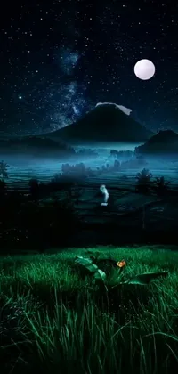 This phone live wallpaper features a breathtaking scene of a grassy field illuminated by a full moon at night