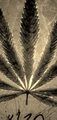 This live wallpaper is a gorgeous black and white digital artwork featuring a highly detailed, popular photo of a marijuana leaf