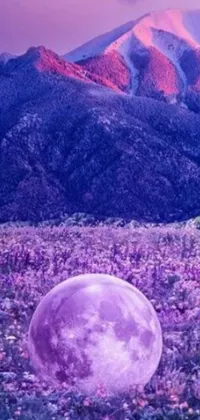 Introducing a captivating live wallpaper for your phone featuring a stunning full moon in a field of beautiful flowers with mountains in the background