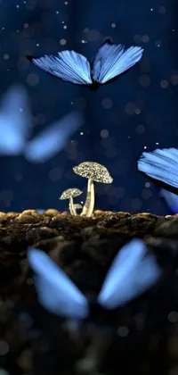 Enhance your phone's background with this enchanting live wallpaper featuring blue butterflies playfully circling around a fascinating mushroom in a surreal forest scenery