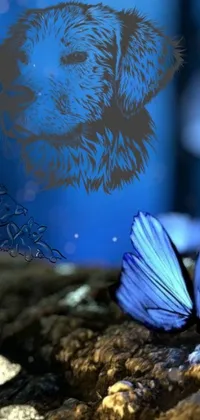 This live wallpaper exhibits a serene, nature-themed aesthetic featuring a stunning blue butterfly and loyal dog, created using digital art