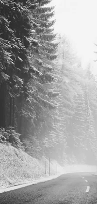 Enhance your phone's aesthetic appeal with this captivating live wallpaper featuring a black and white photograph of a snowy forest