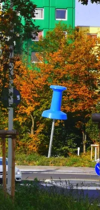 Looking for a stunning live phone wallpaper? Check out this blue button foreground and fall park background! With vibrant autumn colors and playful equipment, this wallpaper captures the beauty and fun of a park