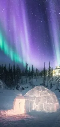 Escape to the peaceful and wintery landscapes of Canada with this live wallpaper
