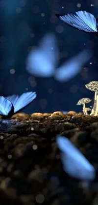 This enchanting phone live wallpaper showcases a cluster of vivid blue butterflies fluttering around a towering mushroom, against a backdrop of volumetric bokeh lighting