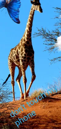 This phone live wallpaper depicts a photorealistic image of a giraffe standing on a dirt field against a backdrop of lush greenery and blue skies