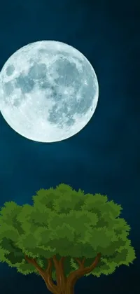 This phone live wallpaper features a breathtaking tree silhouette against a magnificent full moon in the background, creating a tranquil ambiance on your mobile device