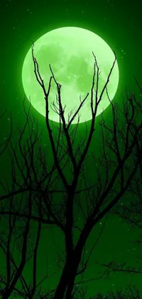 This phone live wallpaper displays a full moon shining bright green in the night sky