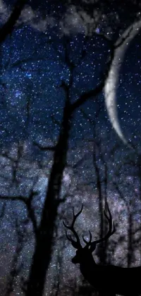 This live phone wallpaper depicts a serene forest at night with a deer standing in the middle