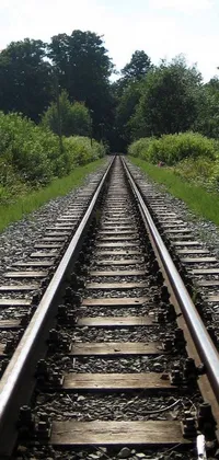 This live wallpaper for your phone showcases a mesmerizingly close-up view of a train track surrounded by trees in the background