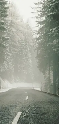 This phone live wallpaper features a black and white photo of a foggy road running through a snow covered forest
