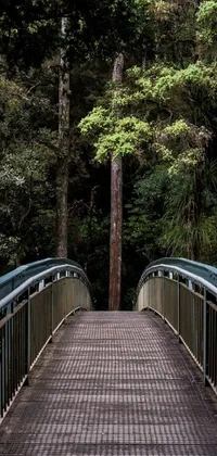 This live phone wallpaper showcases a serene and peaceful scene of a wooden bridge over a tranquil stream in the heart of a lush forest