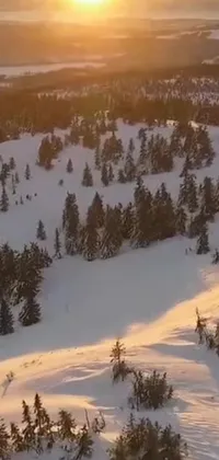 This live wallpaper depicts a skier gracefully carving down a snow-covered slope, against a picturesque background of a Swedish forest