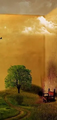 This live wallpaper features an open book on a green field with a surrealistic picture of birds and trees