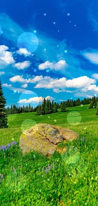 This phone live wallpaper showcases a mesmerizing photograph of a gigantic rock situated in the midst of a lush green field