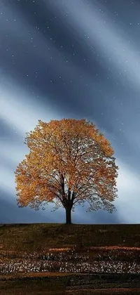 Enjoy a serene autumn night with this stunning phone live wallpaper