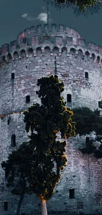 Get transported to ancient times with this stunning phone live wallpaper depicting a red fire hydrant against the backdrop of a towering castle and a tall tree