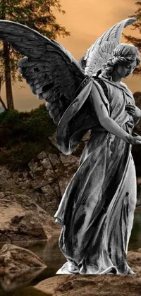 This phone live wallpaper depicts a stunning black and white photograph of a gothic art-inspired angel statue