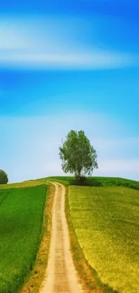 This live wallpaper features a captivating dirt road running through a lush green field, surrounded by a breathtaking blue sky devoid of clouds