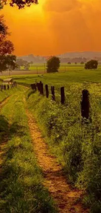 Adorn your phone screen with a breathtaking live wallpaper featuring a dirt road running through a lush green field at dawn