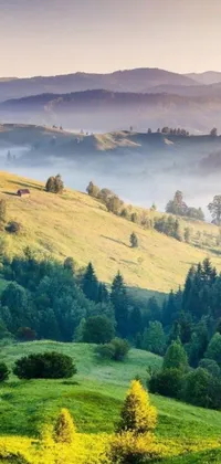 This live wallpaper for your phone showcases a serene and scenic view of a herd of sheep grazing on a lush green hilltop, surrounded by dreamy misty woods and quaint log houses atop hills