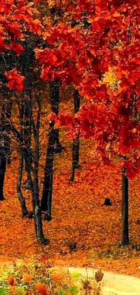 This phone live wallpaper showcases a vibrant and colorful forest scene filled with autumn leaves in warm hues