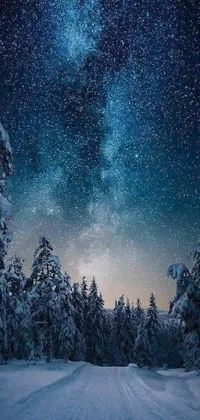 This phone live wallpaper showcases a snow-covered road in a Swedish forest at night