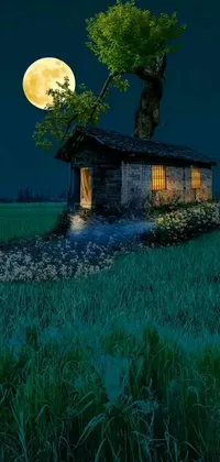 This live phone wallpaper showcases a picturesque scene of a tiny house located in the center of a grassy field on a full moonlit night