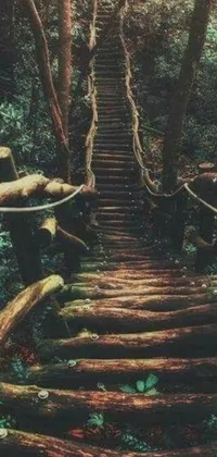 This phone live wallpaper showcases a natural theme, with a staircase design situated amidst a serene forest