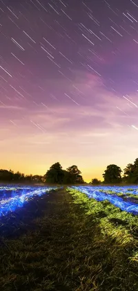 This live wallpaper features a field of blue flowers under a purple sky, with star trails and glowing thin wires adding to the immersive atmosphere