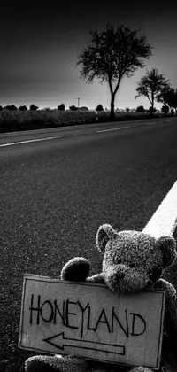 This live wallpaper features an animated teddy bear sitting on the side of a road holding a sign