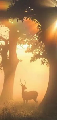 This phone live wallpaper showcases a tranquil scene of a deer standing in the grass, perfectly captured in a picturesque display of stunning art
