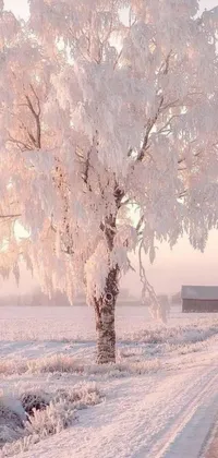 This phone live wallpaper features a snow-covered tree on a roadside, surrounded by a snowy field