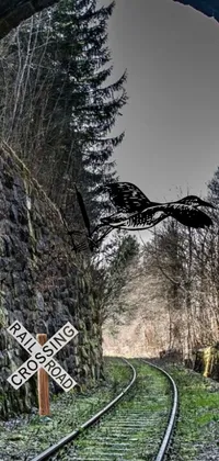 Be captivated by the mesmerizing bird in motion on a railroad crossing sign, brought to life through a dynamic live wallpaper