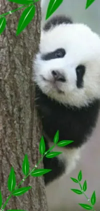 This live wallpaper features an adorable panda bear climbing up a lush green tree, captured in sōsaku hanga style
