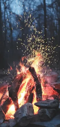 This lively phone wallpaper showcases a campfire scene that's sure to attract nature enthusiasts everywhere