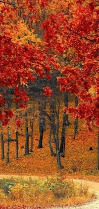 This charming live wallpaper features a lush forest filled with red and yellow leaves